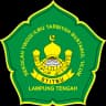 Logo INSIBU